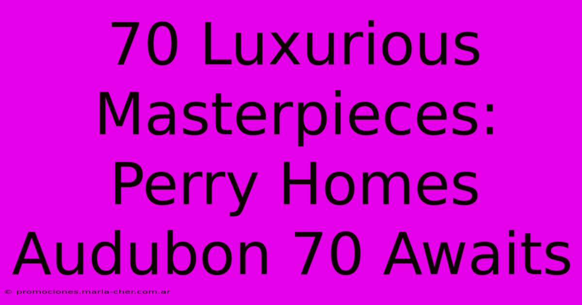 70 Luxurious Masterpieces: Perry Homes Audubon 70 Awaits