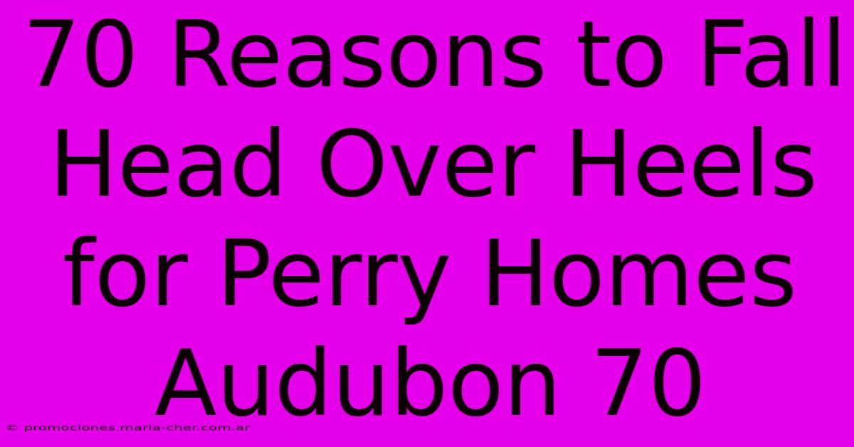 70 Reasons To Fall Head Over Heels For Perry Homes Audubon 70