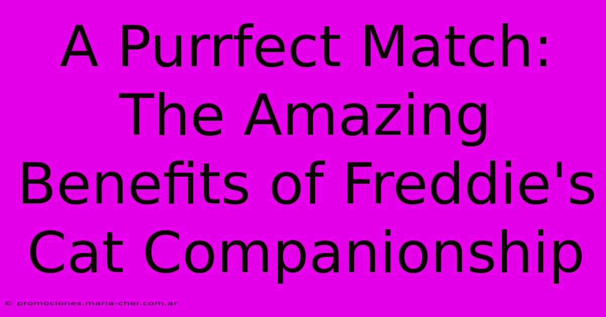 A Purrfect Match: The Amazing Benefits Of Freddie's Cat Companionship