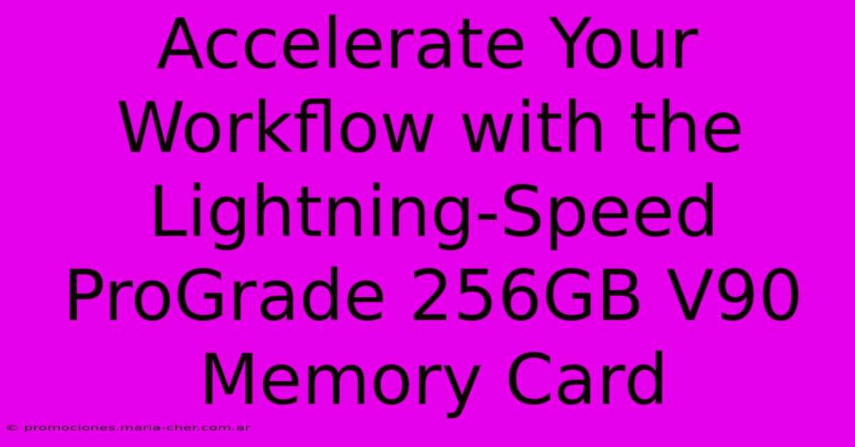 Accelerate Your Workflow With The Lightning-Speed ProGrade 256GB V90 Memory Card