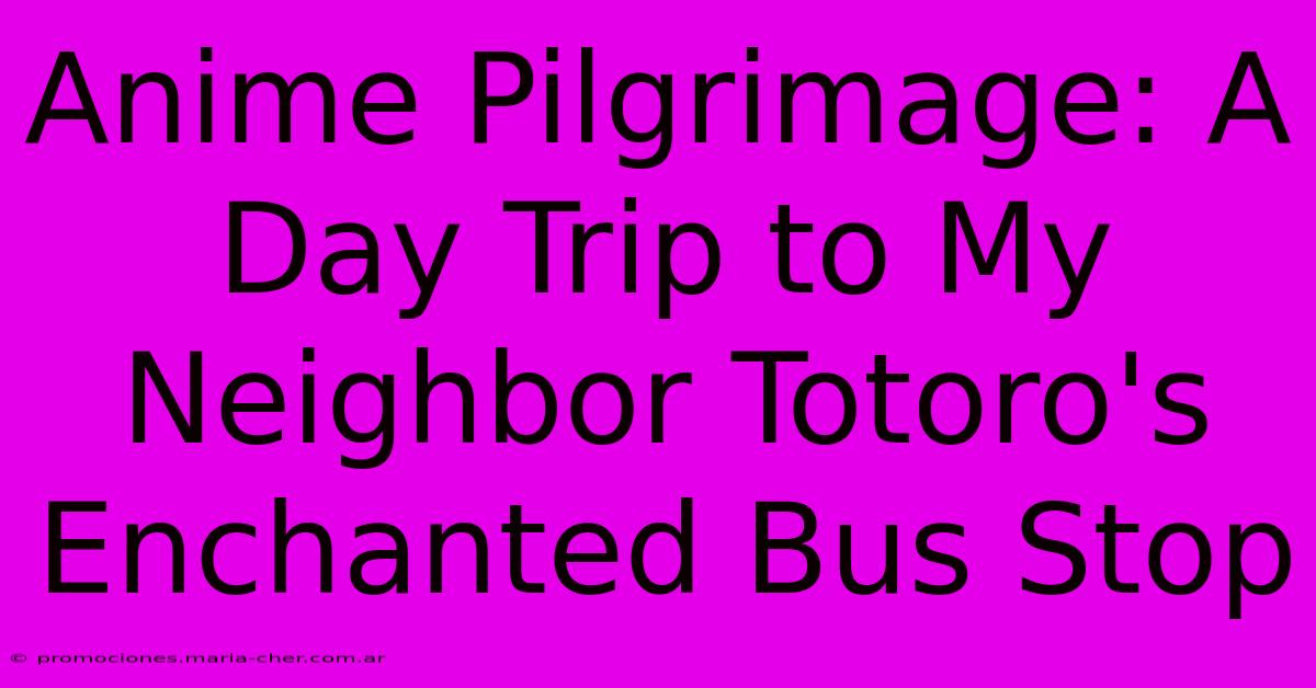 Anime Pilgrimage: A Day Trip To My Neighbor Totoro's Enchanted Bus Stop