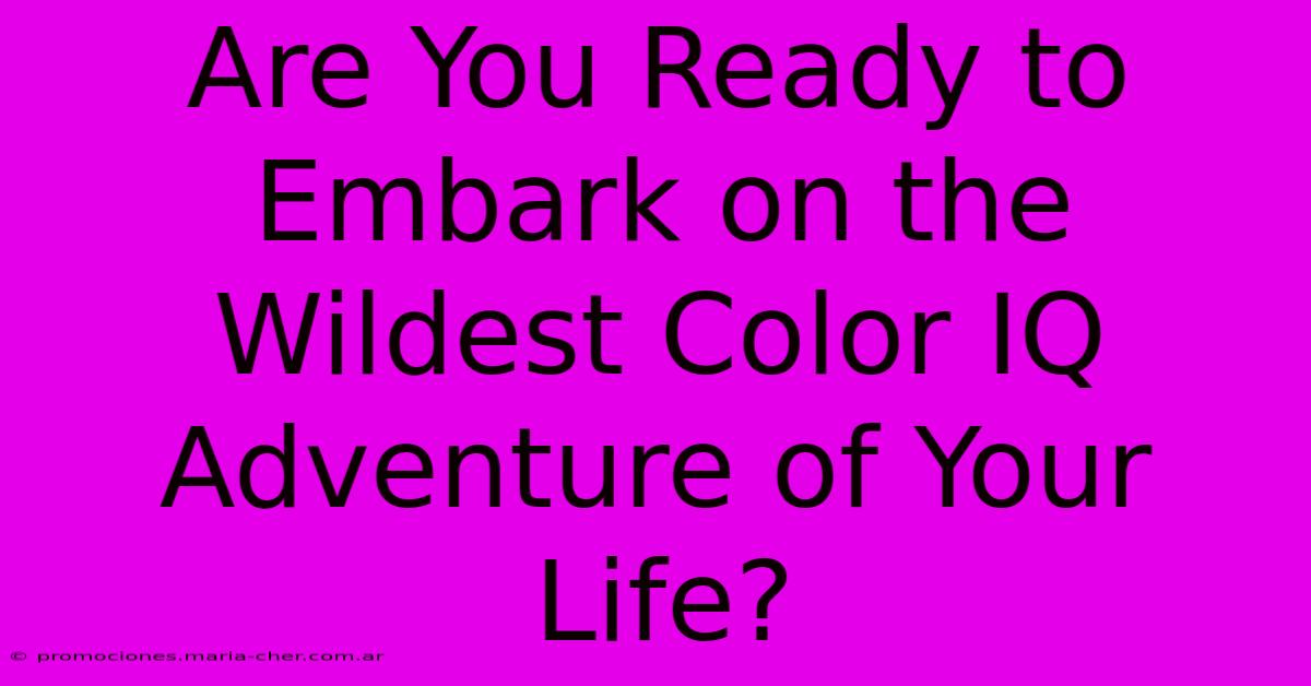 Are You Ready To Embark On The Wildest Color IQ Adventure Of Your Life?