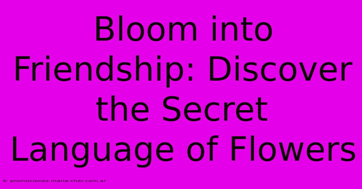 Bloom Into Friendship: Discover The Secret Language Of Flowers