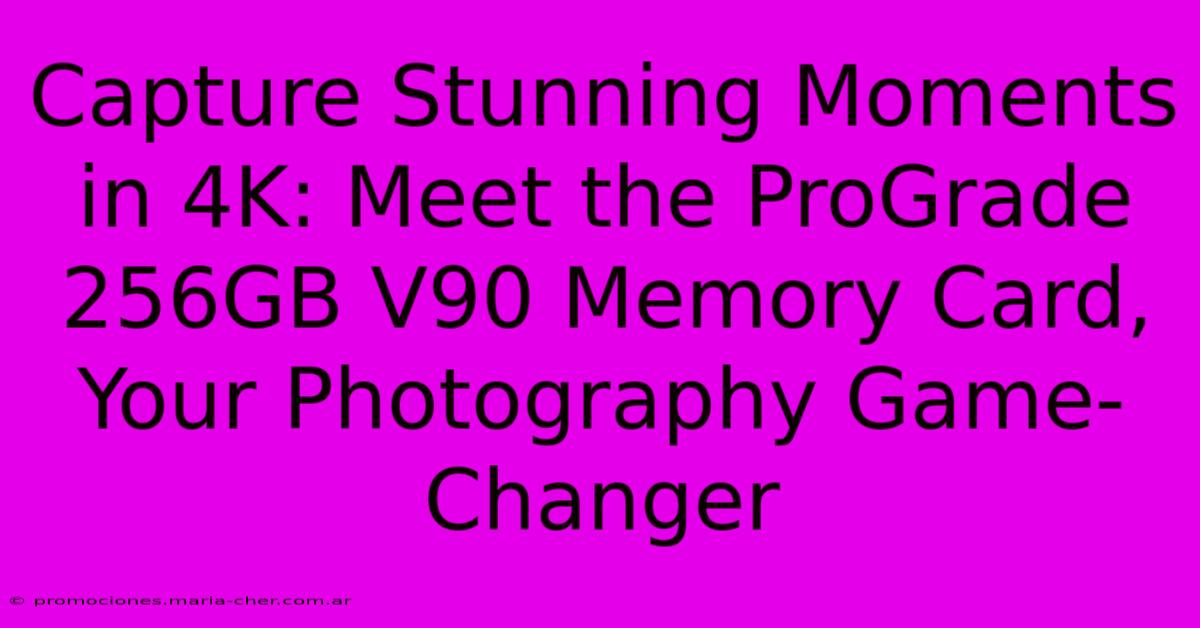 Capture Stunning Moments In 4K: Meet The ProGrade 256GB V90 Memory Card, Your Photography Game-Changer