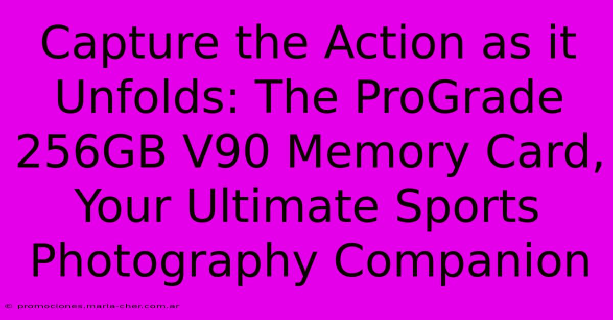 Capture The Action As It Unfolds: The ProGrade 256GB V90 Memory Card, Your Ultimate Sports Photography Companion