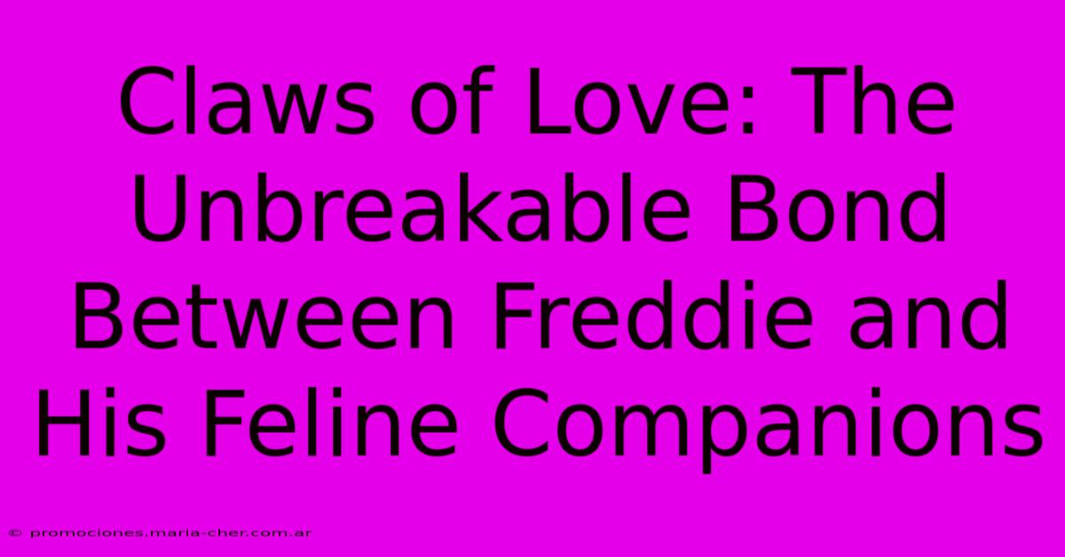 Claws Of Love: The Unbreakable Bond Between Freddie And His Feline Companions