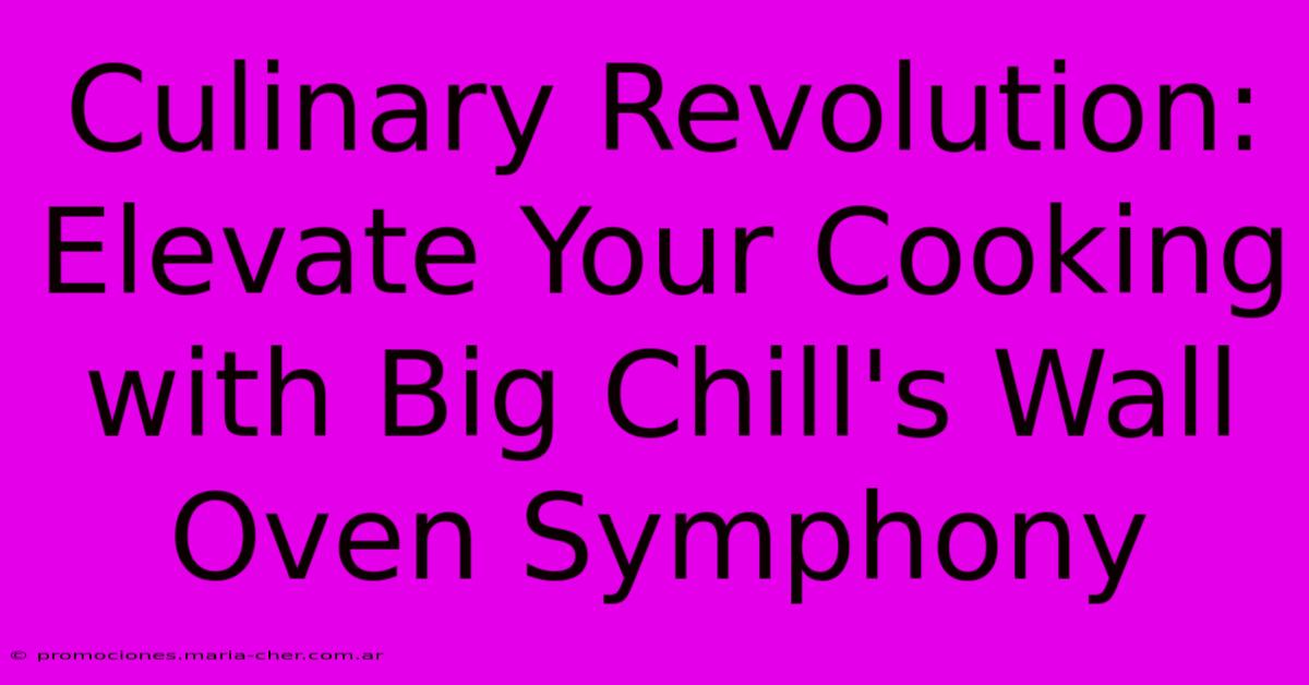 Culinary Revolution: Elevate Your Cooking With Big Chill's Wall Oven Symphony