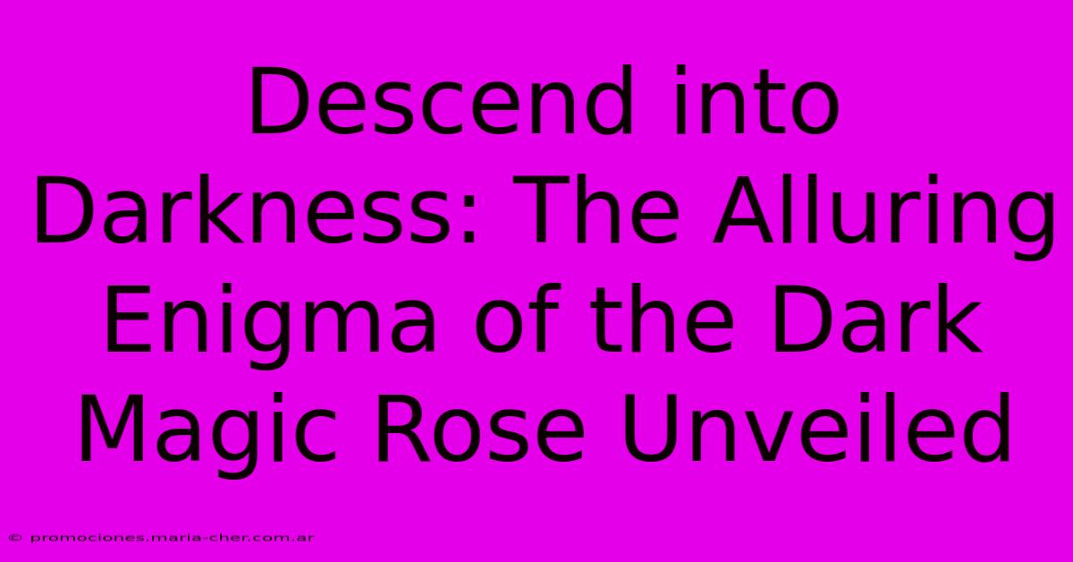 Descend Into Darkness: The Alluring Enigma Of The Dark Magic Rose Unveiled