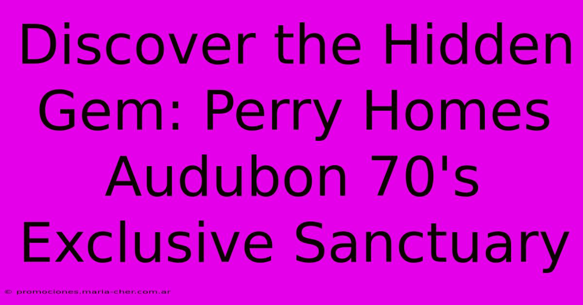 Discover The Hidden Gem: Perry Homes Audubon 70's Exclusive Sanctuary