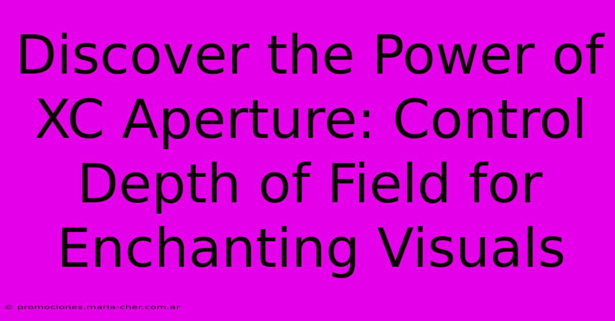 Discover The Power Of XC Aperture: Control Depth Of Field For Enchanting Visuals