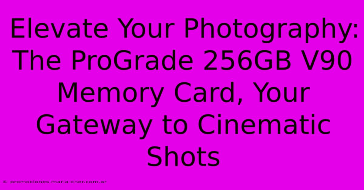 Elevate Your Photography: The ProGrade 256GB V90 Memory Card, Your Gateway To Cinematic Shots