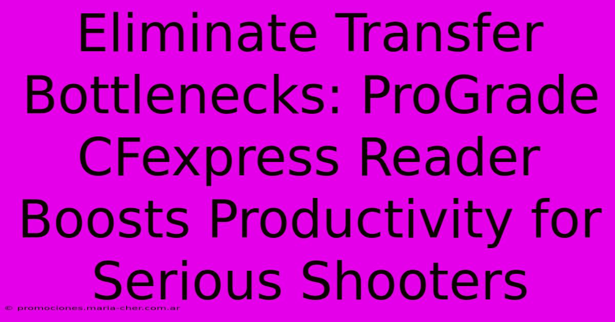 Eliminate Transfer Bottlenecks: ProGrade CFexpress Reader Boosts Productivity For Serious Shooters