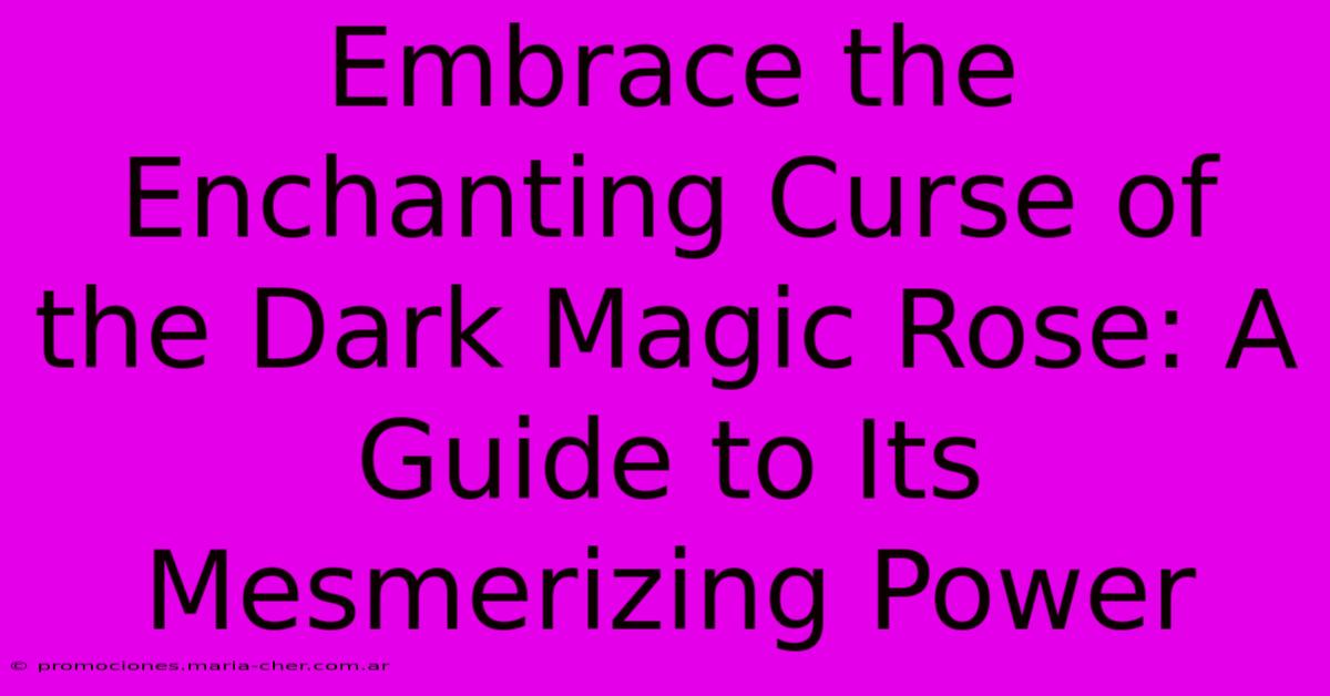 Embrace The Enchanting Curse Of The Dark Magic Rose: A Guide To Its Mesmerizing Power