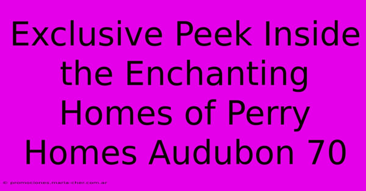 Exclusive Peek Inside The Enchanting Homes Of Perry Homes Audubon 70