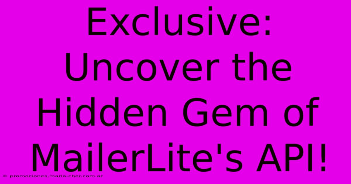 Exclusive: Uncover The Hidden Gem Of MailerLite's API!