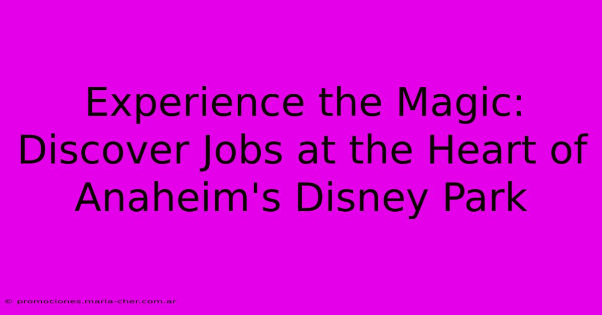 Experience The Magic: Discover Jobs At The Heart Of Anaheim's Disney Park