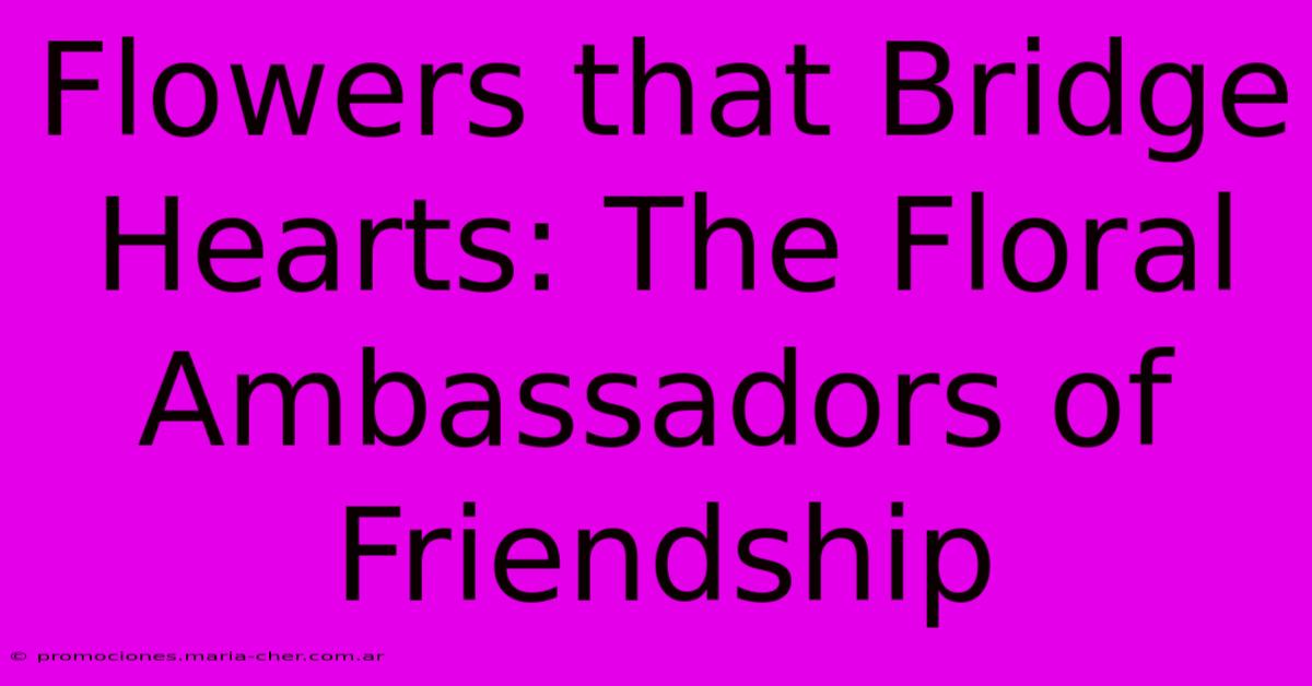 Flowers That Bridge Hearts: The Floral Ambassadors Of Friendship