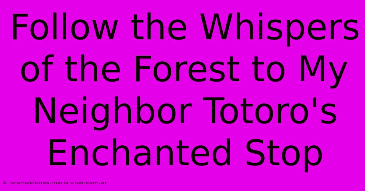 Follow The Whispers Of The Forest To My Neighbor Totoro's Enchanted Stop