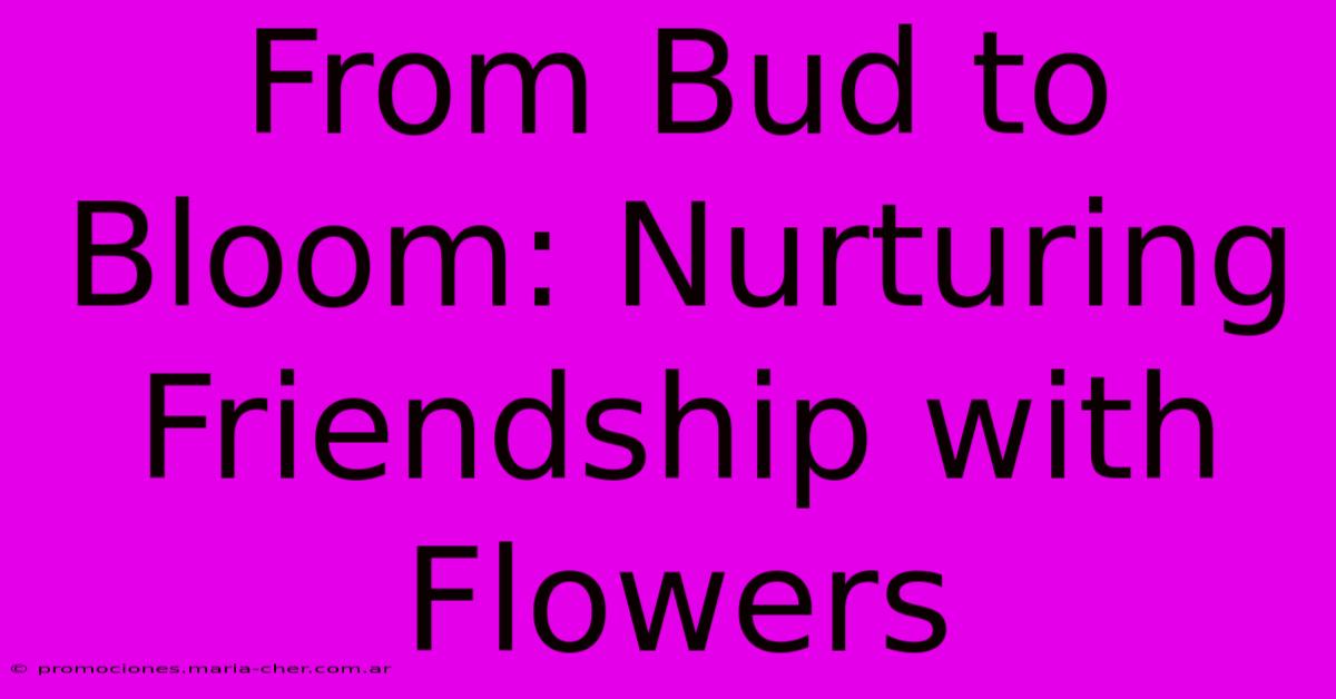 From Bud To Bloom: Nurturing Friendship With Flowers