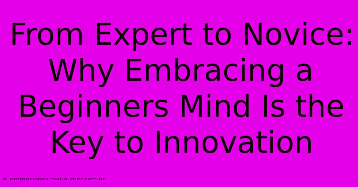 From Expert To Novice: Why Embracing A Beginners Mind Is The Key To Innovation