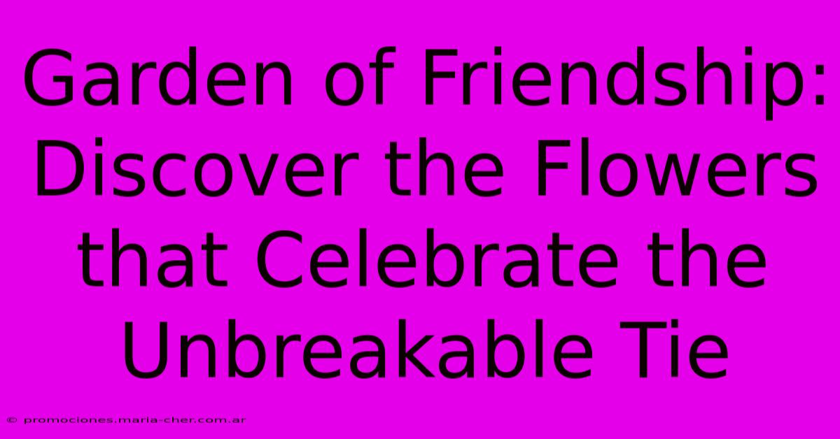 Garden Of Friendship: Discover The Flowers That Celebrate The Unbreakable Tie