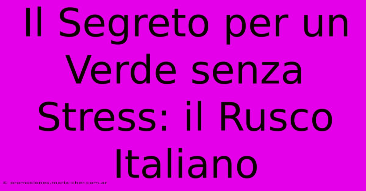 Il Segreto Per Un Verde Senza Stress: Il Rusco Italiano