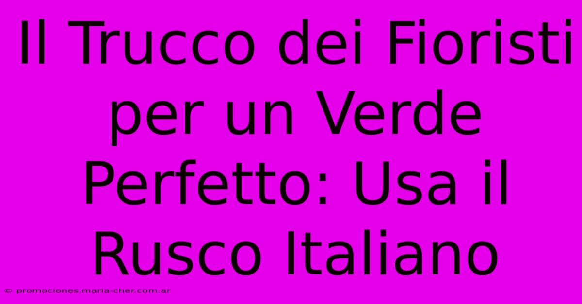 Il Trucco Dei Fioristi Per Un Verde Perfetto: Usa Il Rusco Italiano