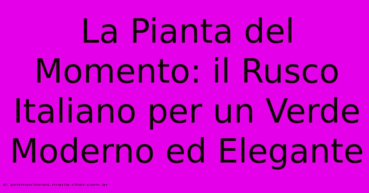 La Pianta Del Momento: Il Rusco Italiano Per Un Verde Moderno Ed Elegante