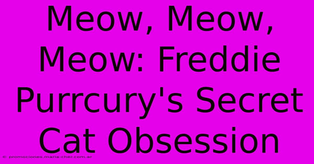 Meow, Meow, Meow: Freddie Purrcury's Secret Cat Obsession