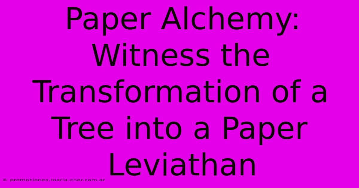 Paper Alchemy: Witness The Transformation Of A Tree Into A Paper Leviathan