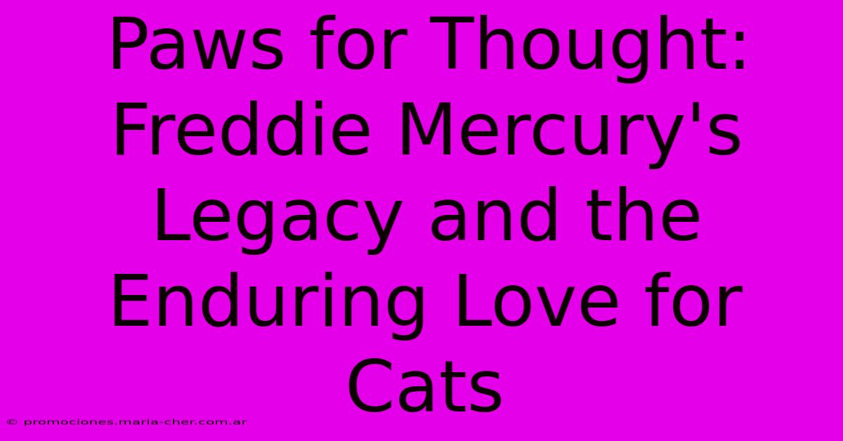 Paws For Thought: Freddie Mercury's Legacy And The Enduring Love For Cats