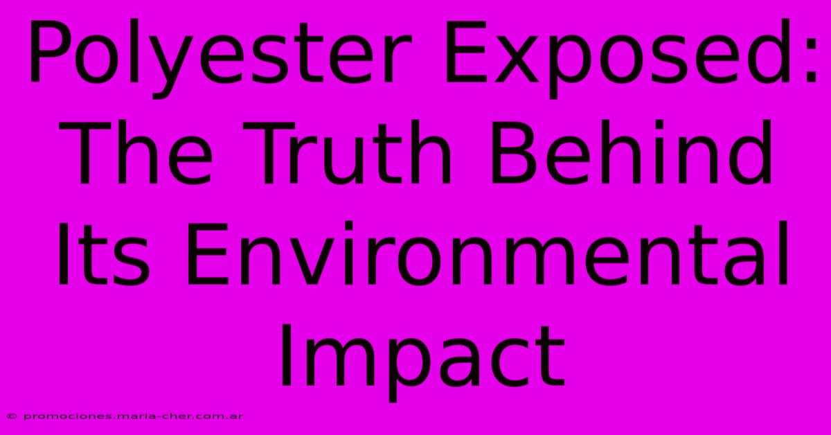 Polyester Exposed: The Truth Behind Its Environmental Impact