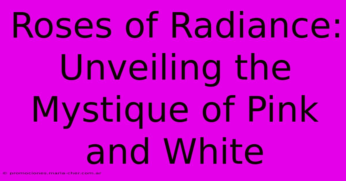 Roses Of Radiance: Unveiling The Mystique Of Pink And White