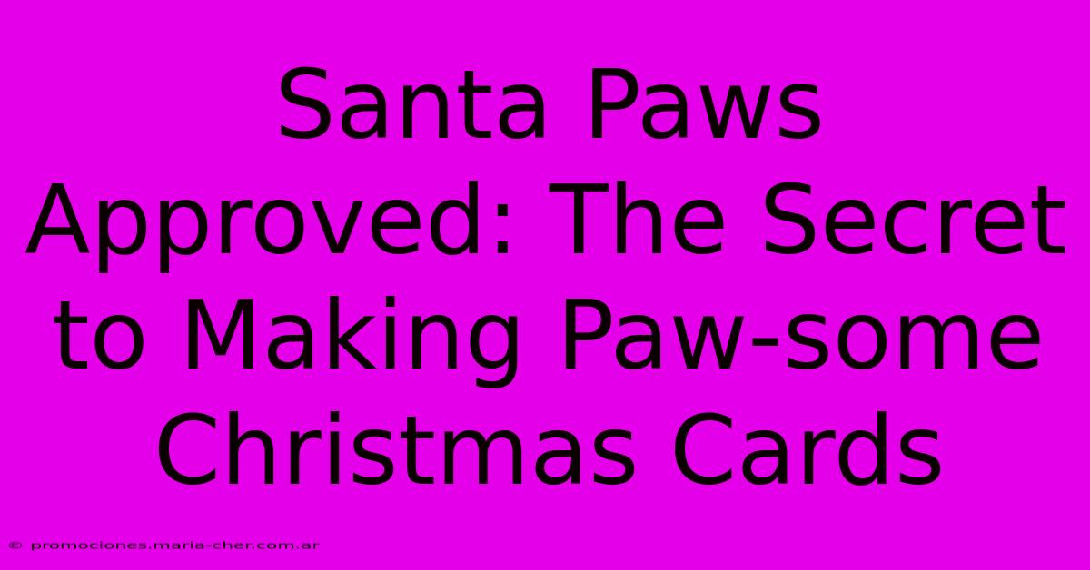 Santa Paws Approved: The Secret To Making Paw-some Christmas Cards