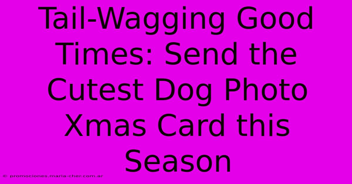 Tail-Wagging Good Times: Send The Cutest Dog Photo Xmas Card This Season