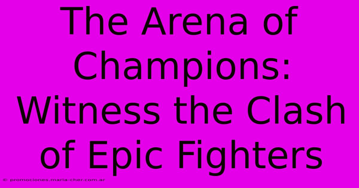 The Arena Of Champions: Witness The Clash Of Epic Fighters