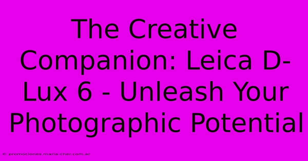 The Creative Companion: Leica D-Lux 6 - Unleash Your Photographic Potential