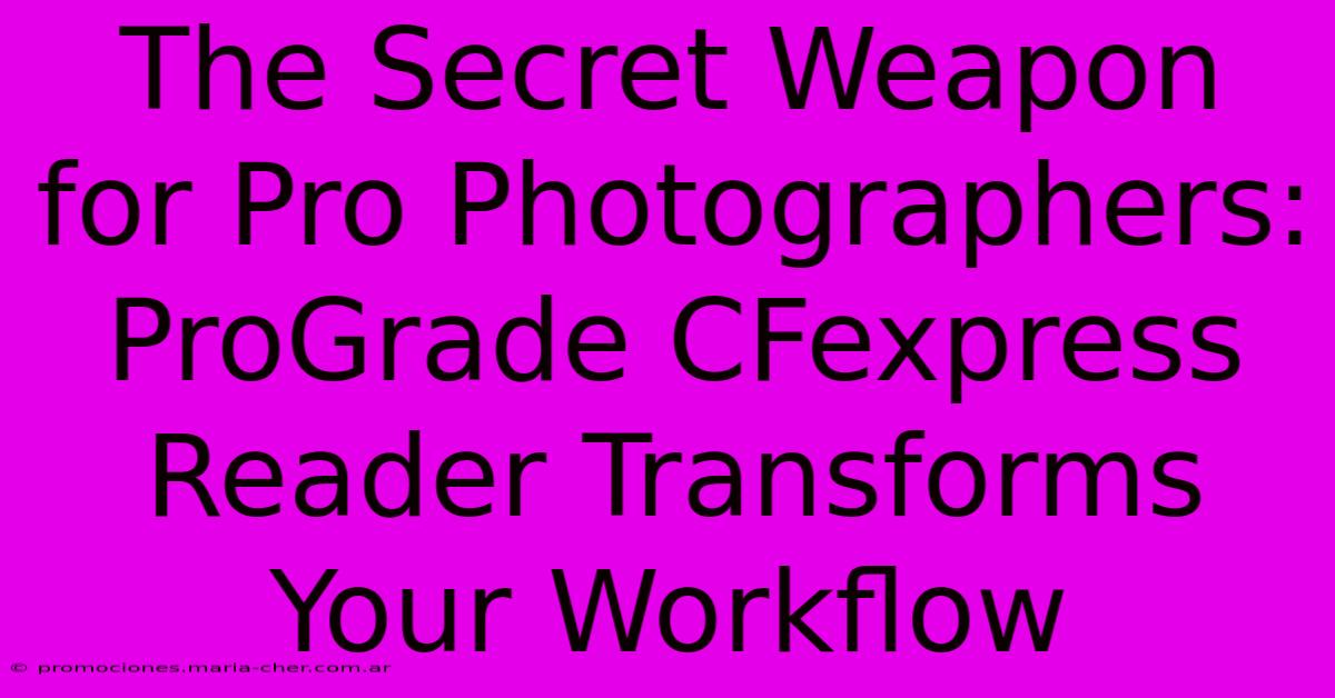 The Secret Weapon For Pro Photographers: ProGrade CFexpress Reader Transforms Your Workflow