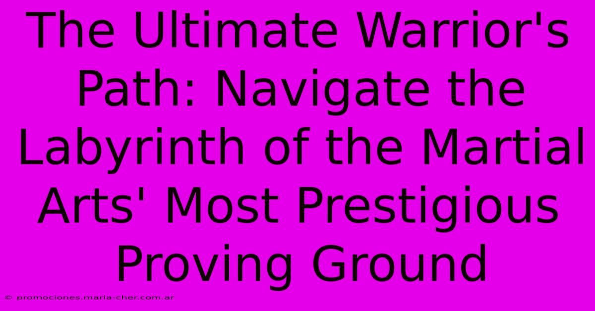 The Ultimate Warrior's Path: Navigate The Labyrinth Of The Martial Arts' Most Prestigious Proving Ground