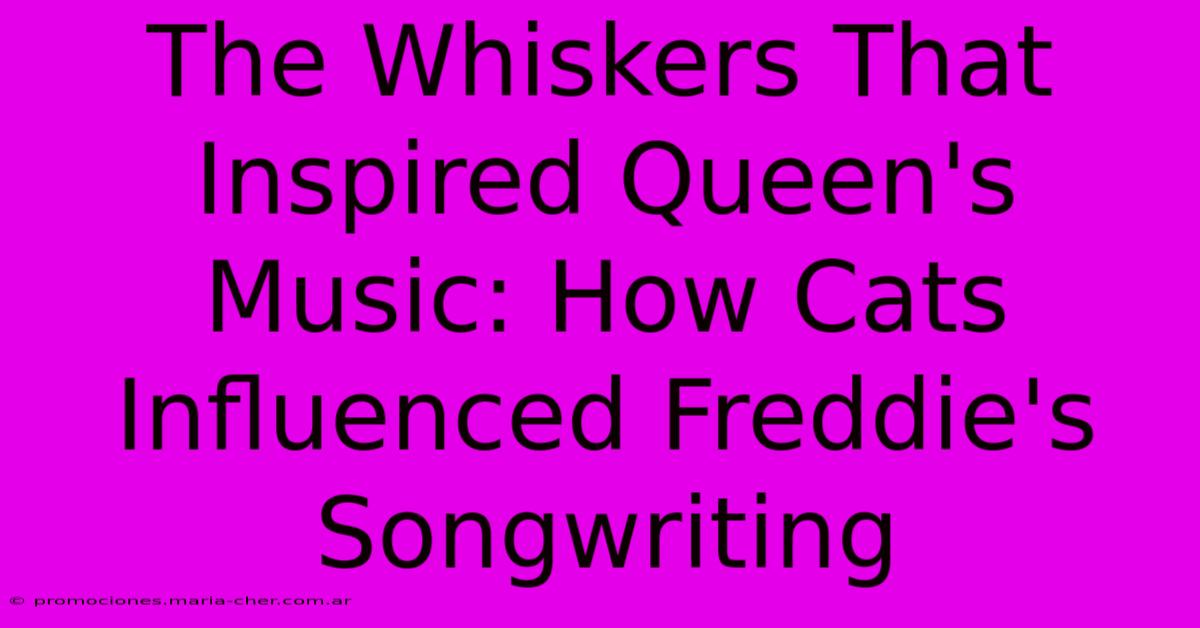 The Whiskers That Inspired Queen's Music: How Cats Influenced Freddie's Songwriting