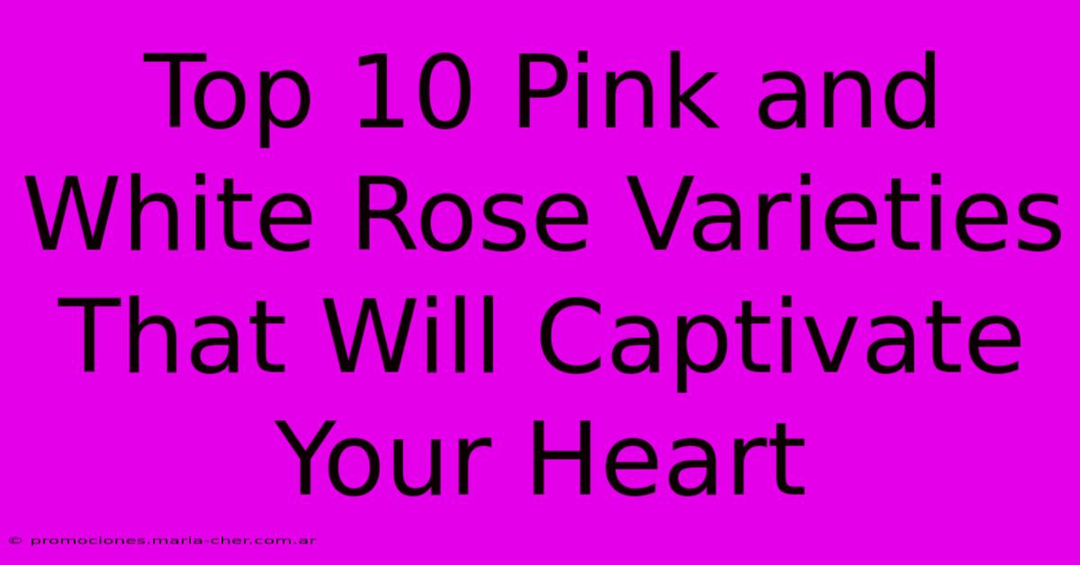 Top 10 Pink And White Rose Varieties That Will Captivate Your Heart