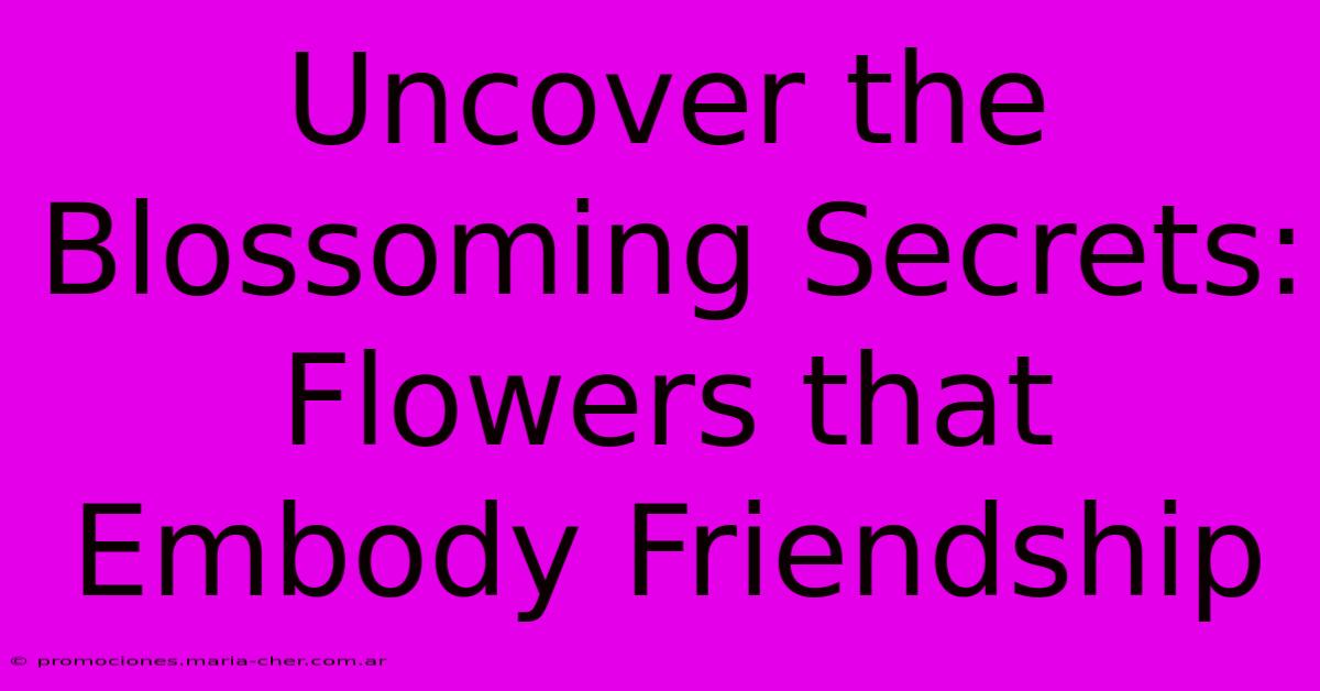 Uncover The Blossoming Secrets: Flowers That Embody Friendship