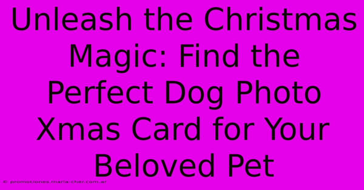 Unleash The Christmas Magic: Find The Perfect Dog Photo Xmas Card For Your Beloved Pet