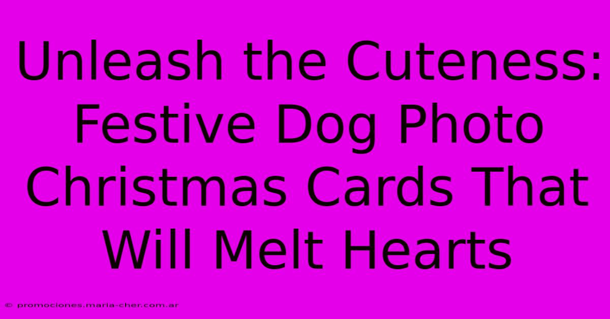 Unleash The Cuteness: Festive Dog Photo Christmas Cards That Will Melt Hearts