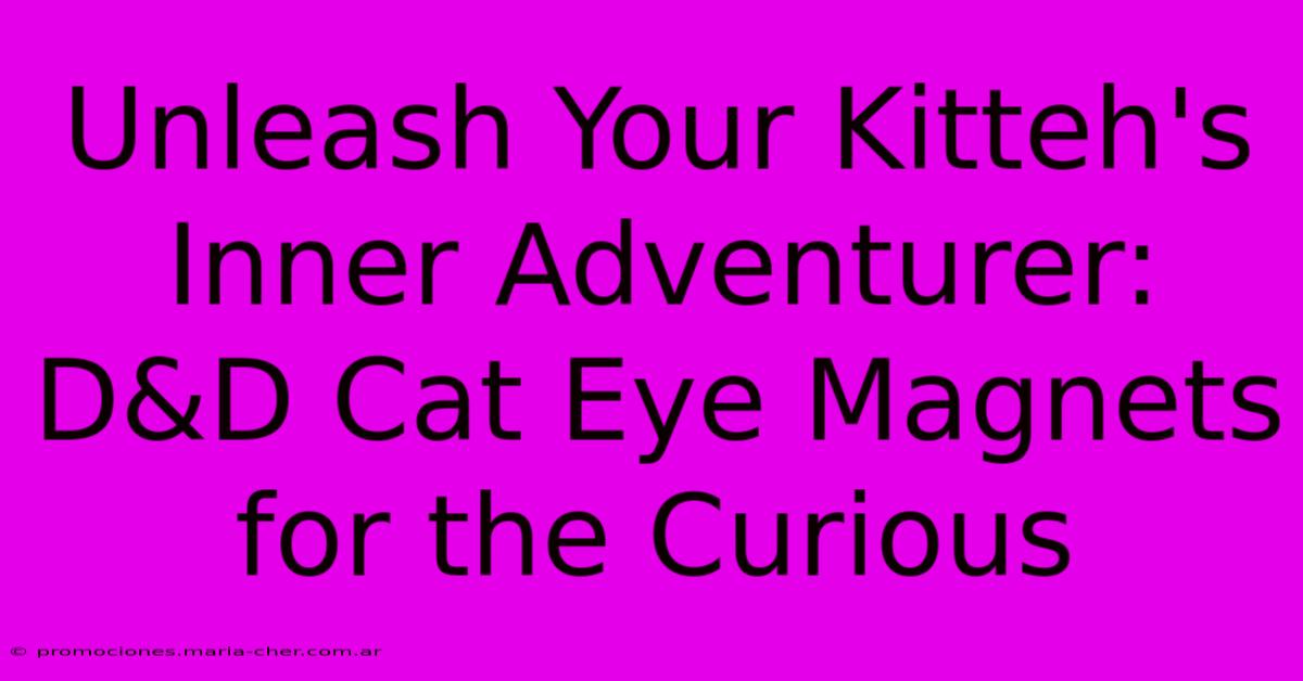 Unleash Your Kitteh's Inner Adventurer: D&D Cat Eye Magnets For The Curious