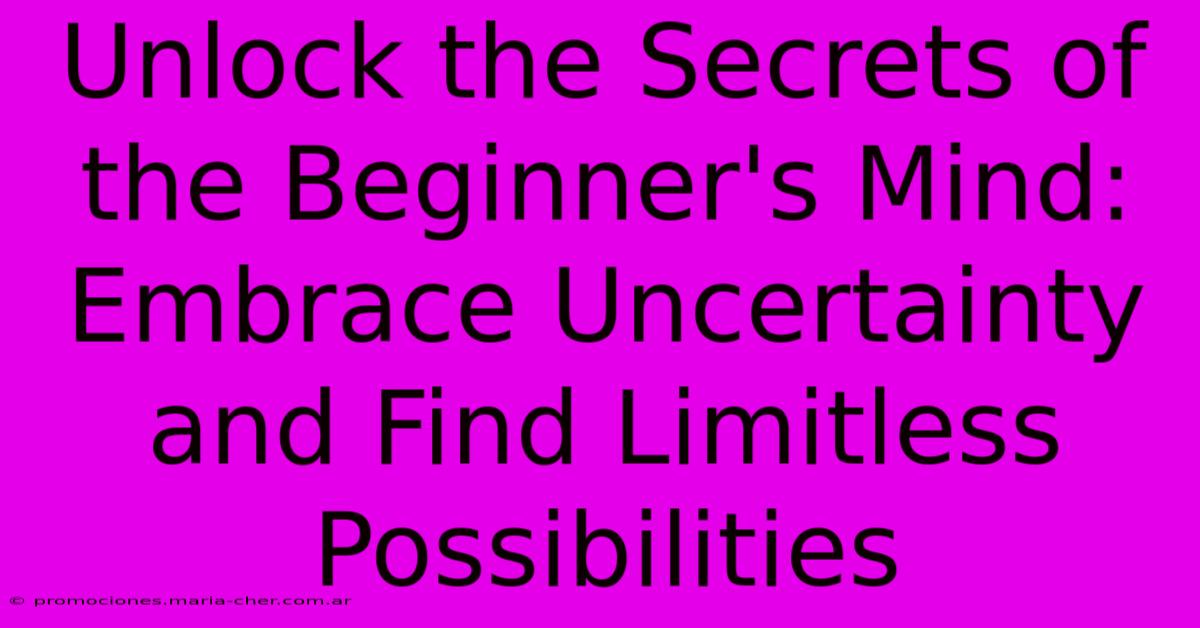 Unlock The Secrets Of The Beginner's Mind: Embrace Uncertainty And Find Limitless Possibilities