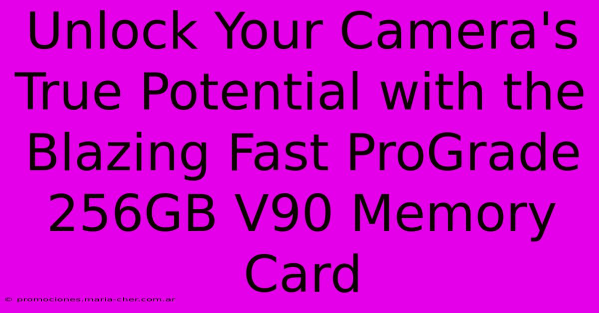 Unlock Your Camera's True Potential With The Blazing Fast ProGrade 256GB V90 Memory Card