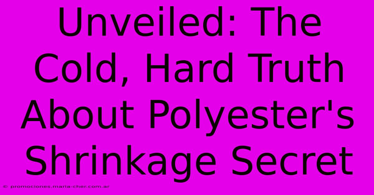 Unveiled: The Cold, Hard Truth About Polyester's Shrinkage Secret