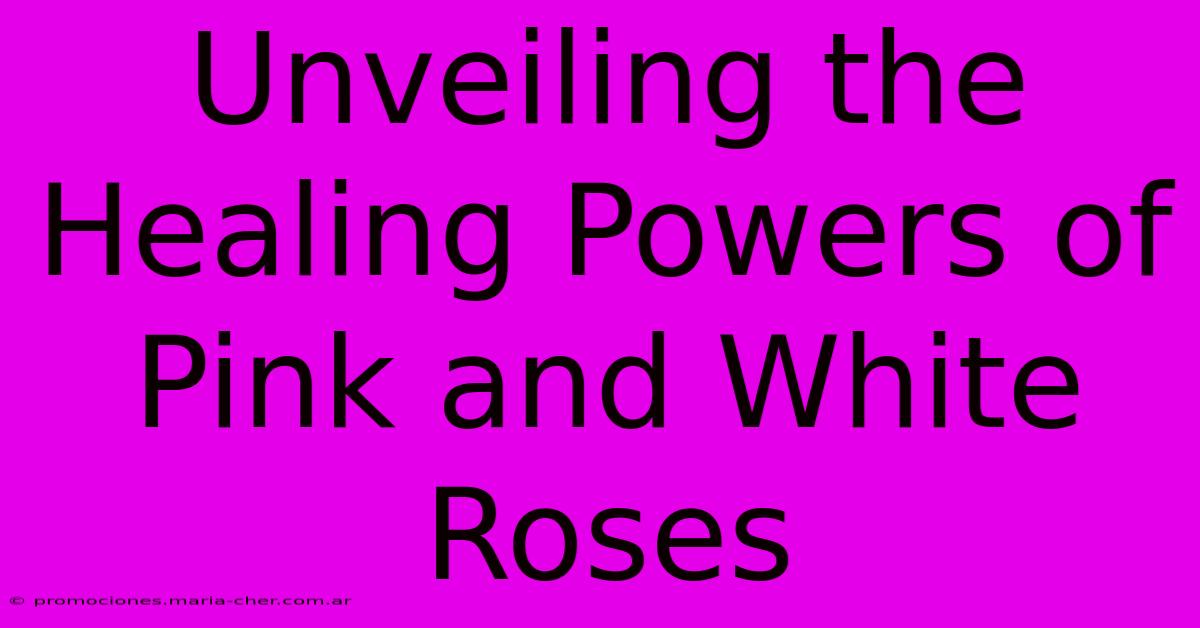 Unveiling The Healing Powers Of Pink And White Roses