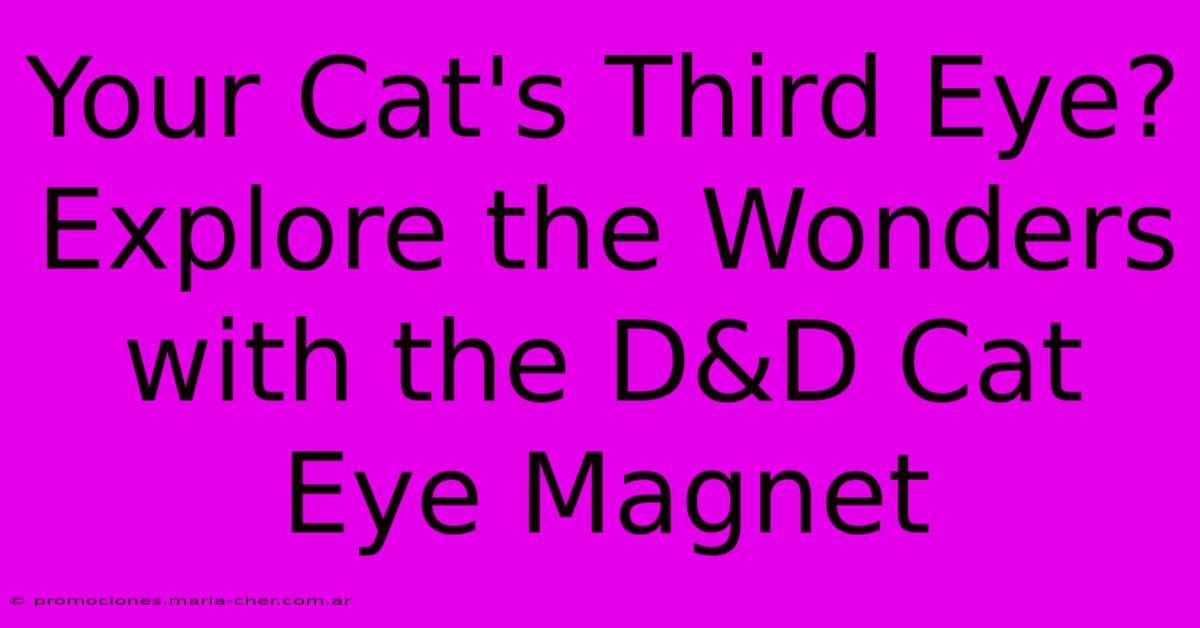 Your Cat's Third Eye? Explore The Wonders With The D&D Cat Eye Magnet